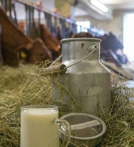 酒店 Erlebnishof Tschabitscher