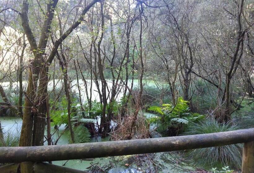 호텔 La Casa Del Abuelo