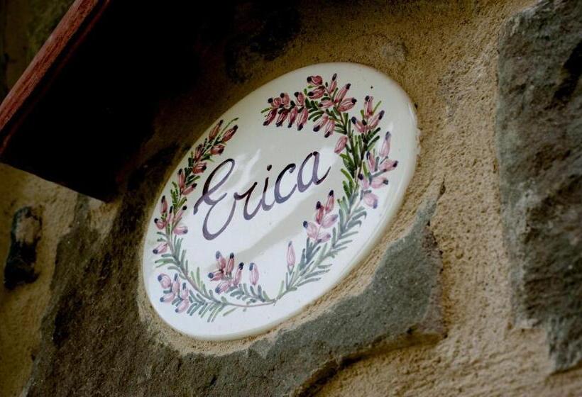 酒店 Agriturismo Podere Il Corniolino