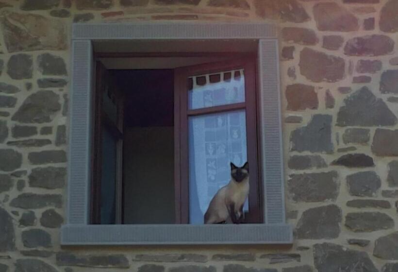 酒店 Agriturismo Podere Il Corniolino