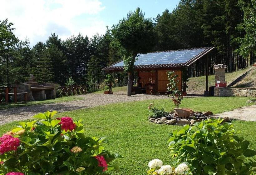 酒店 Agriturismo Podere Il Corniolino