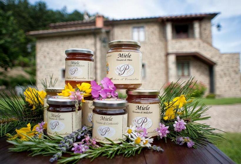 酒店 Agriturismo Podere Il Corniolino