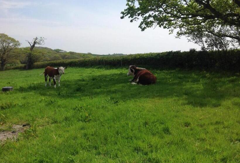 בית מלון כפרי Stable Cottages