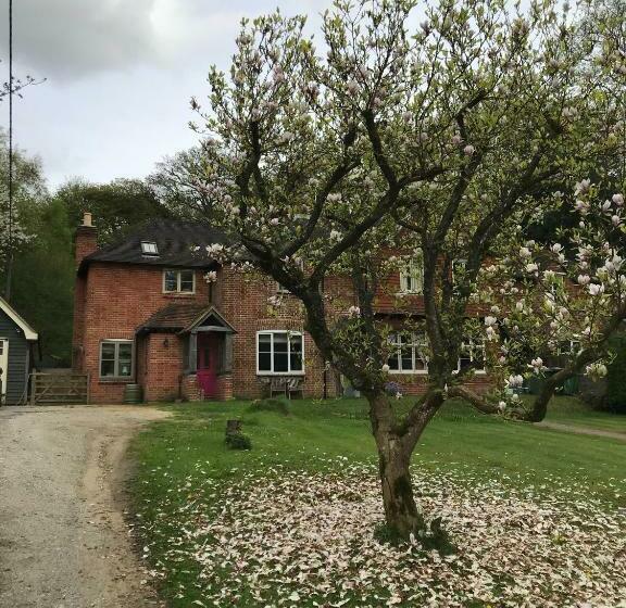 Mays Cottage Bed And Breakfast