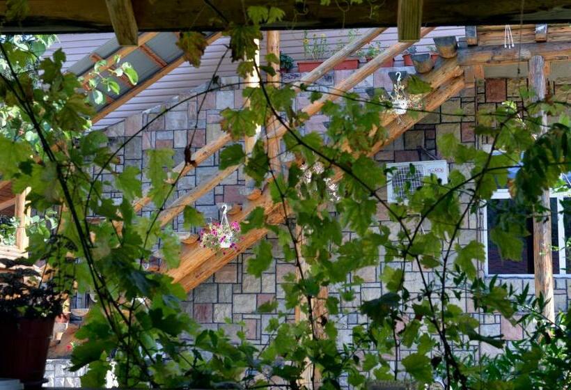 Мотель Casa De Vacanta Neagu