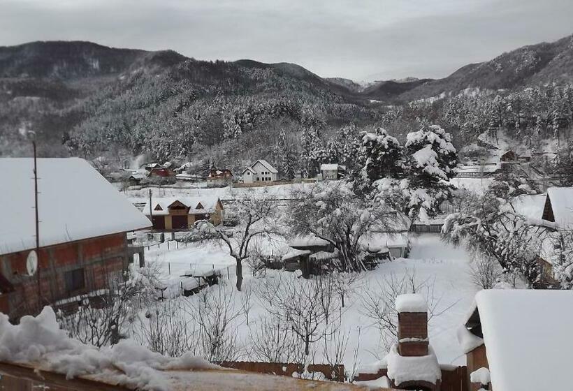 Мотель Casa De Vacanta Neagu