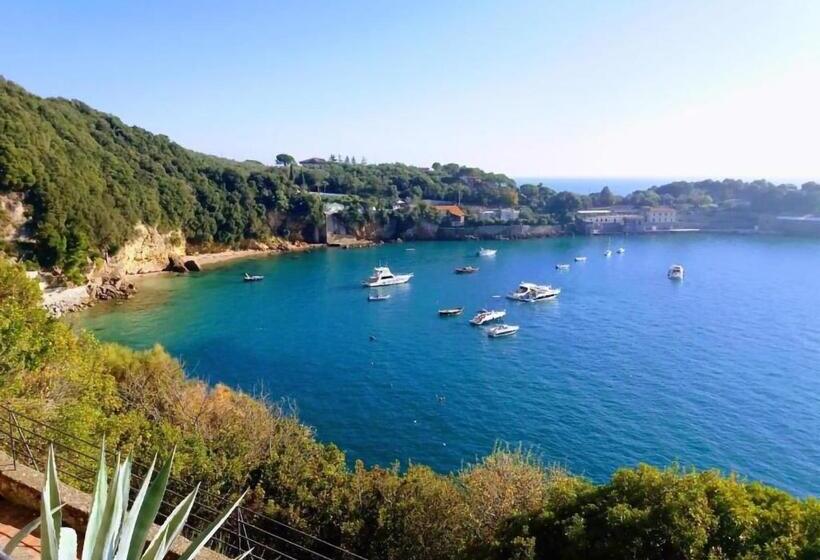 ペンション Affittacamere In Piazzetta Da Vasco