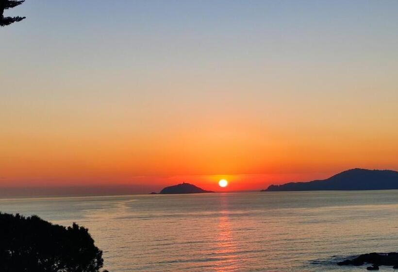 ペンション Affittacamere In Piazzetta Da Vasco