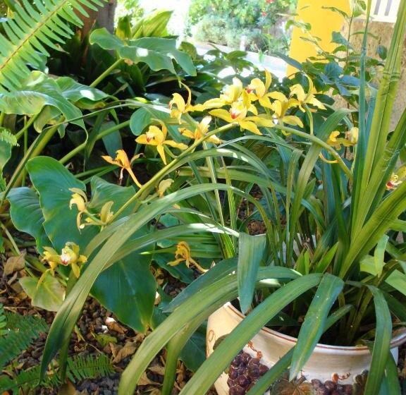 ペンション Andoramare B&b