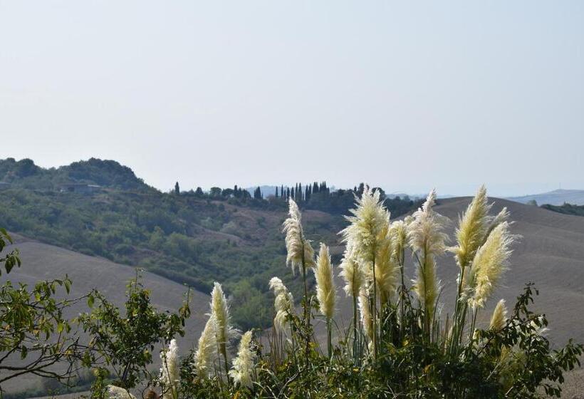 ペンション Appartamento Crete Senesi