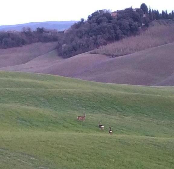 ペンション Appartamento Crete Senesi