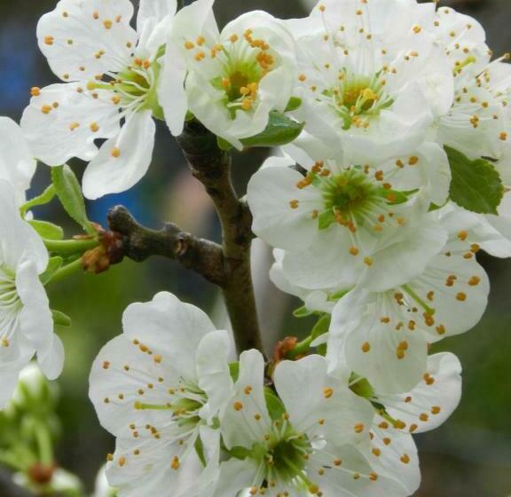 펜션 B&b Achter De Sterren