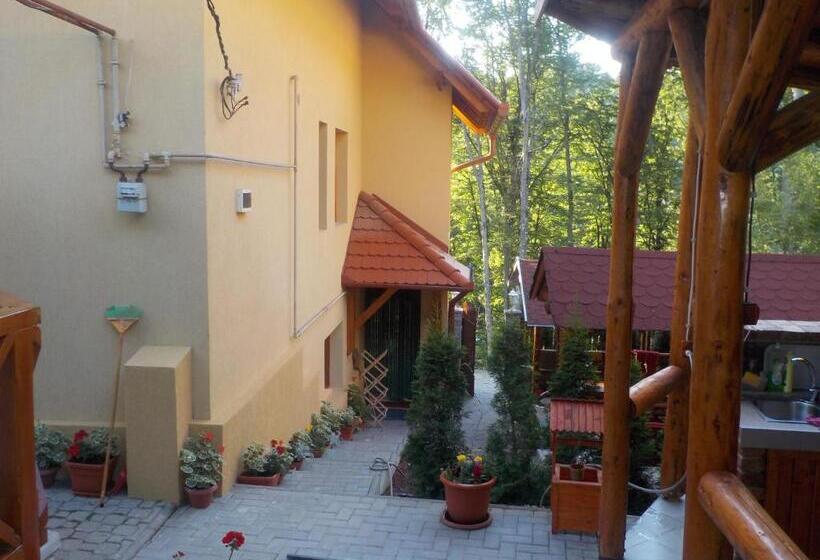 Пансион Casa Dora