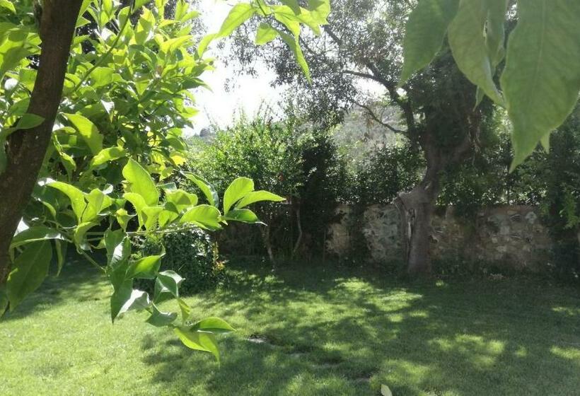 פנסיון Casa Eraldo