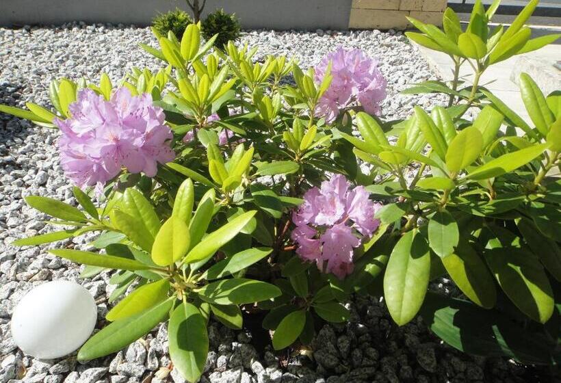 膳宿费 Gästehaus Am Sonnenberg