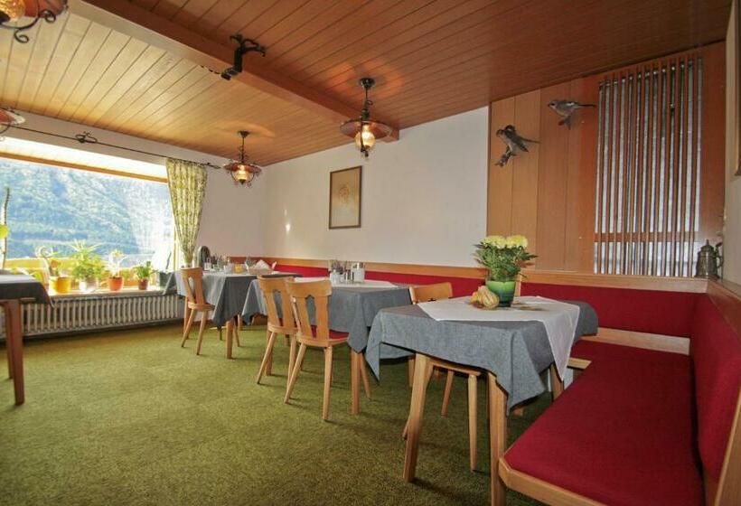 펜션 Gästehaus Amort