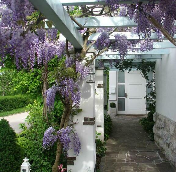 پانسیون Guest House Vitaja