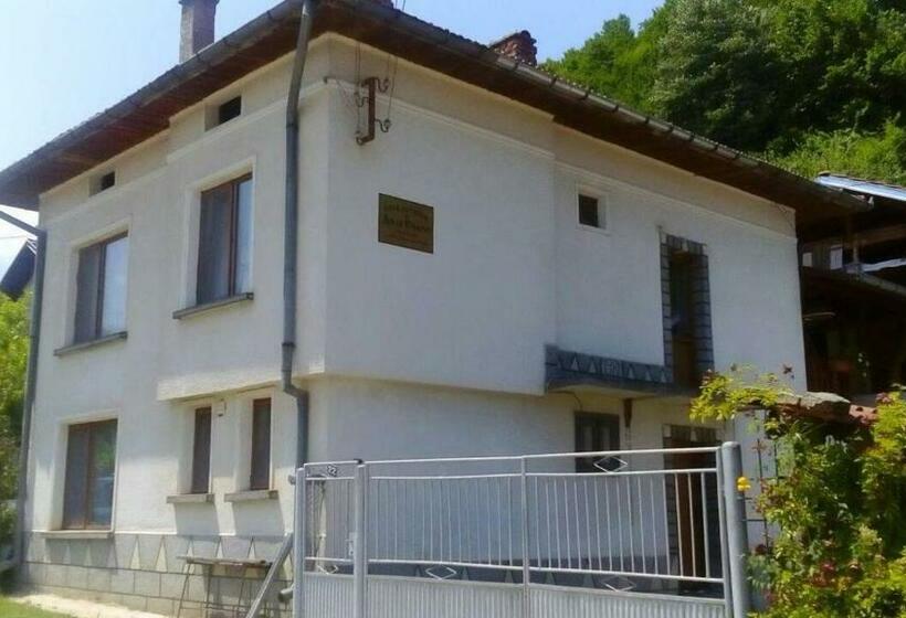 פנסיון Guest Rooms Dyado Sabcho