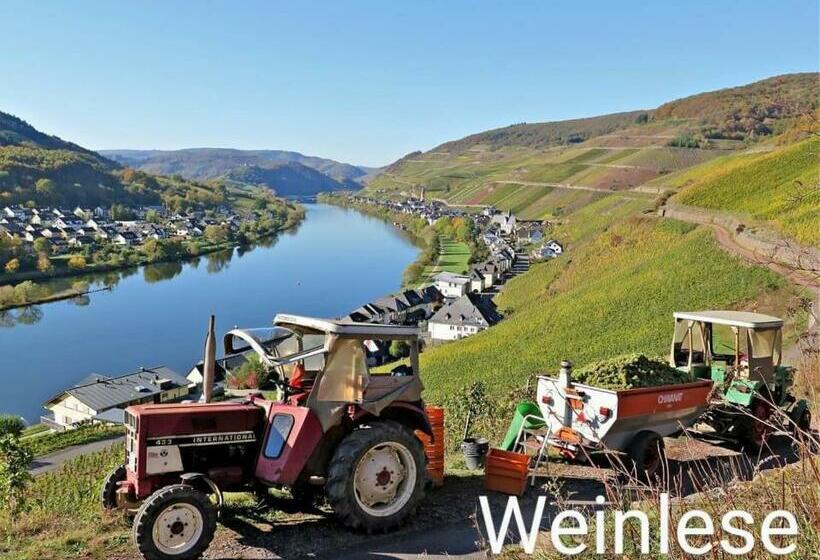 膳宿费 Haus Marientaler Au