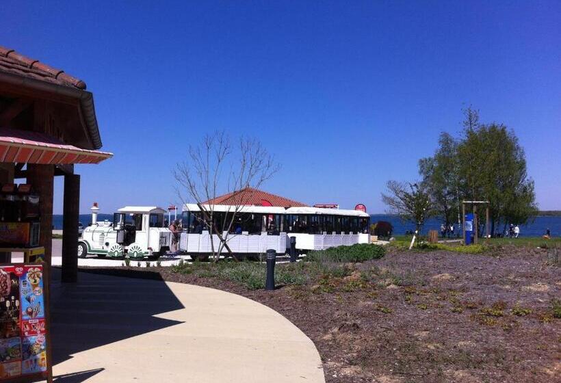 بنسيون Les Lilas Roses