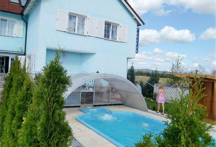 פנסיון Penzion Buchmann