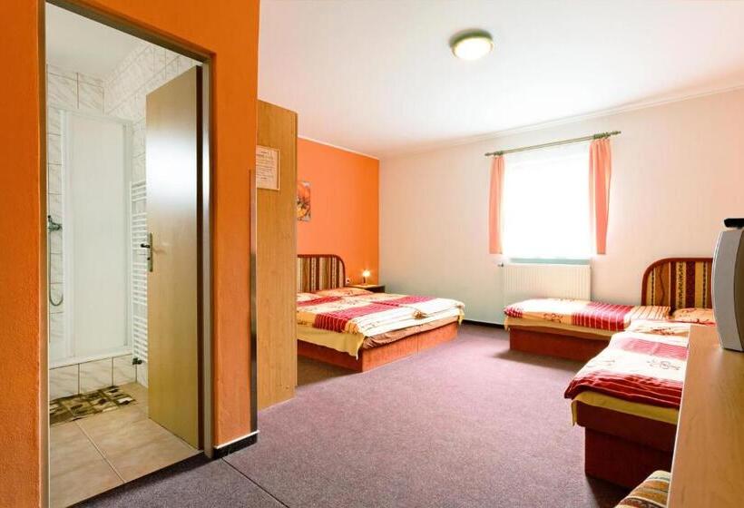 بنسيون Penzion Moravská Oáza