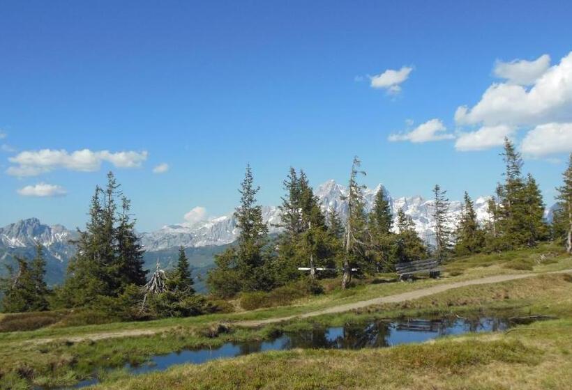 بنسيون Sonnhof