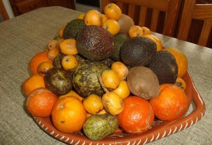 پانسیون Tropical Fruit Garden