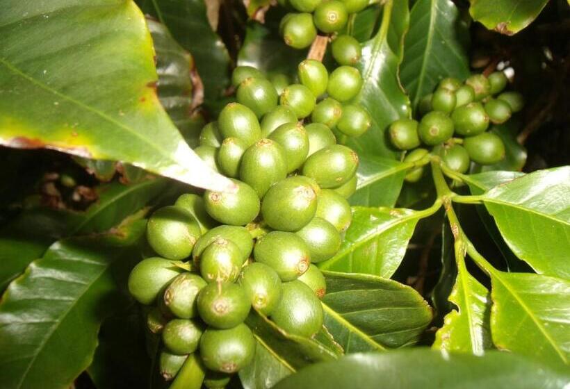 پانسیون Tropical Fruit Garden