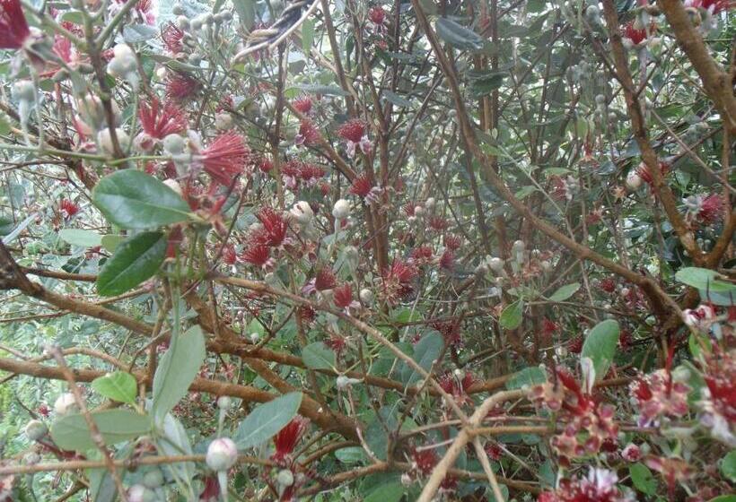 پانسیون Tropical Fruit Garden