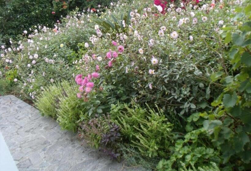 پانسیون Tropical Fruit Garden