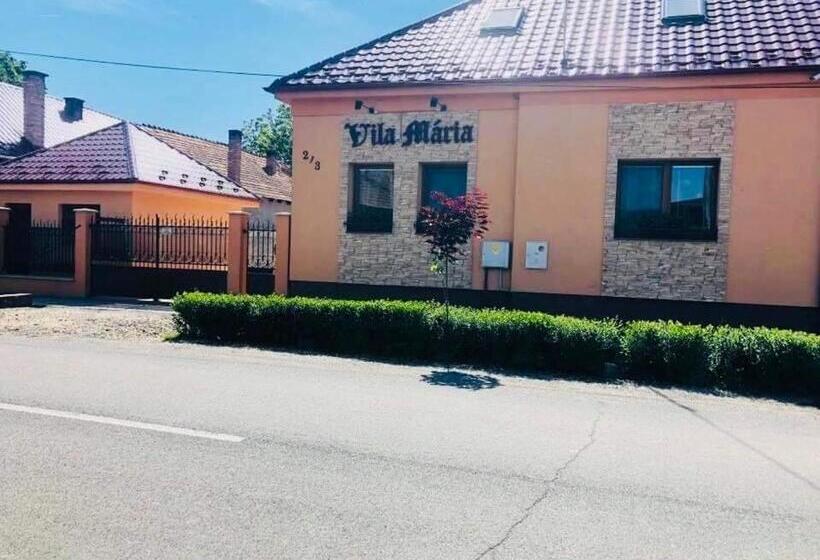 بنسيون Vila Mária Rapovce