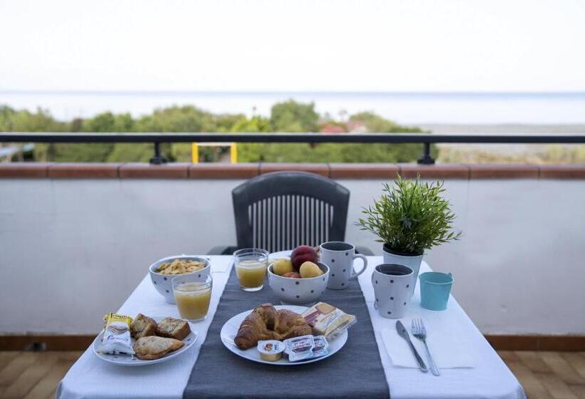 Queen S Bed & Breakfast