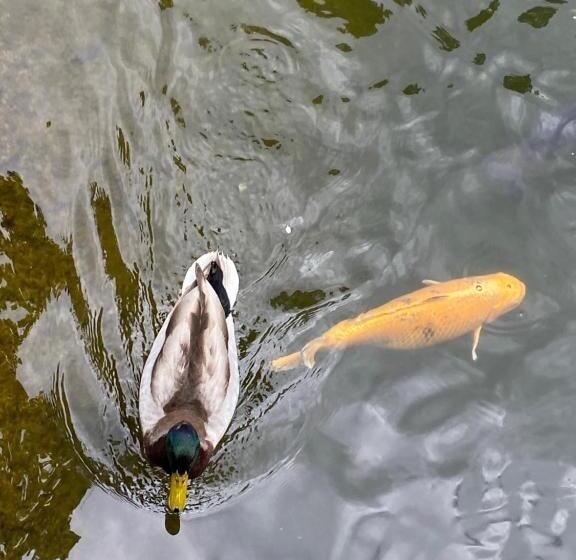 Appartementhaus Nürnberg