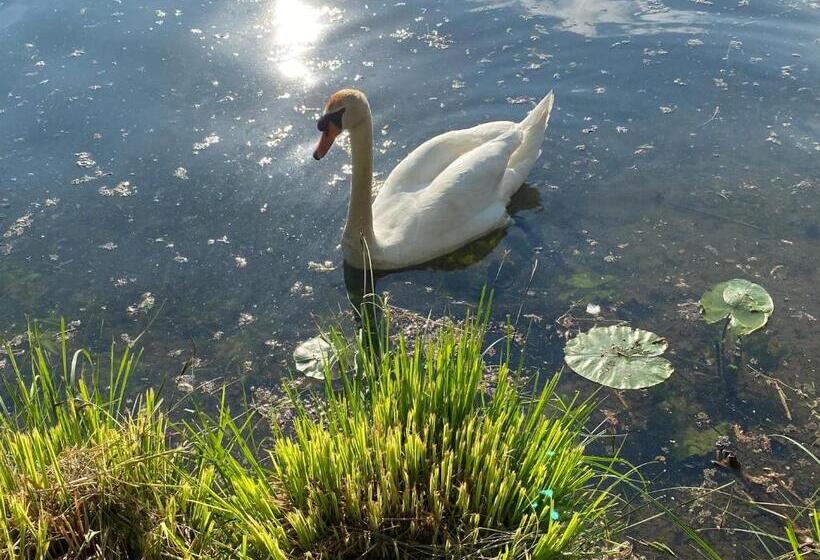 Appartementhaus Nürnberg