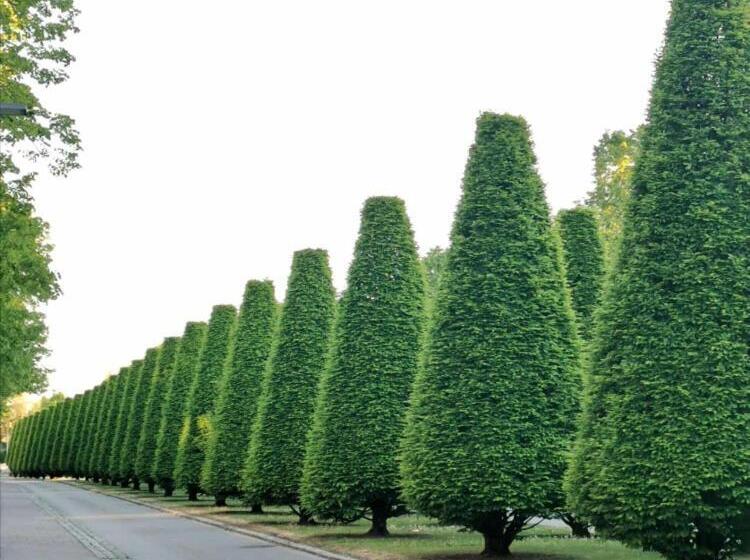 Appartementhaus Nürnberg