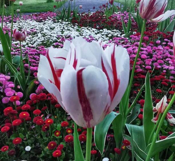 Appartementhaus Nürnberg