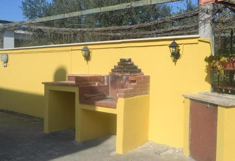 B&b Casa Degli Ulivi