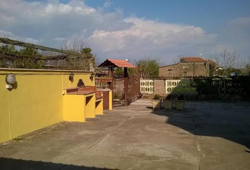 B&b Casa Degli Ulivi