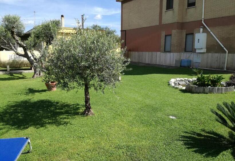 B&b Casa Degli Ulivi