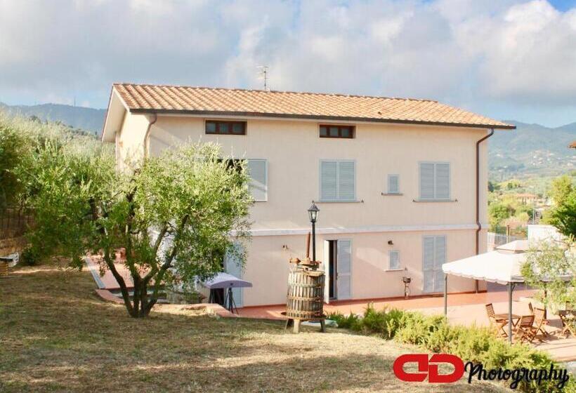 B&b Orsobigio