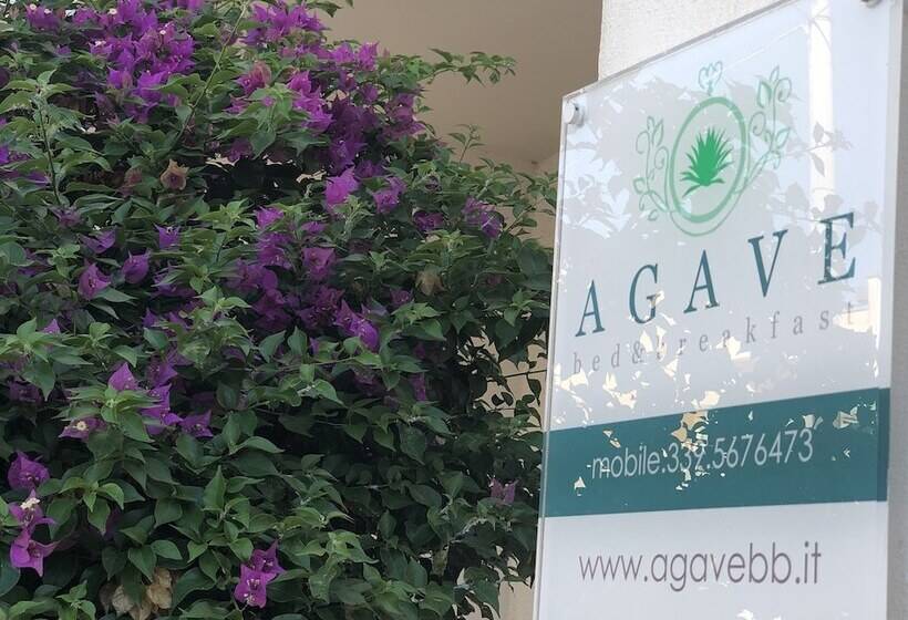 مبيت وإفطار Agave Bed&breakfast