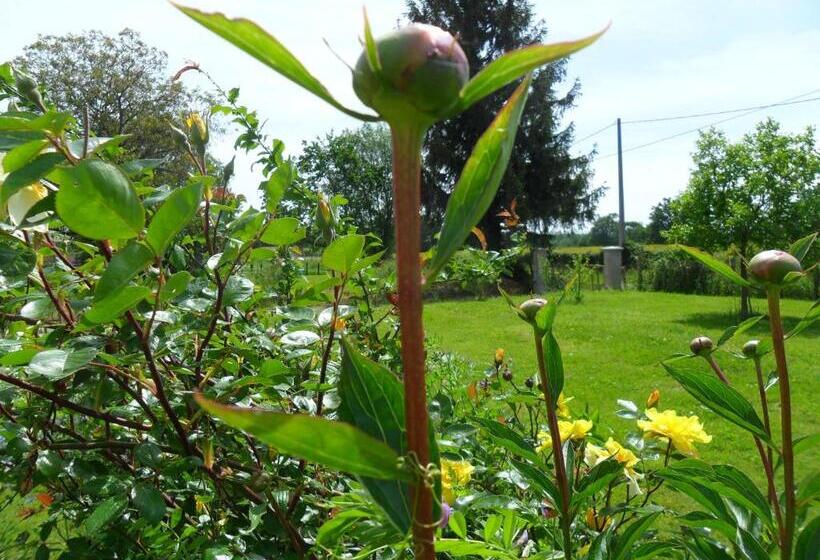 住宿加早餐  Aux Cadollines