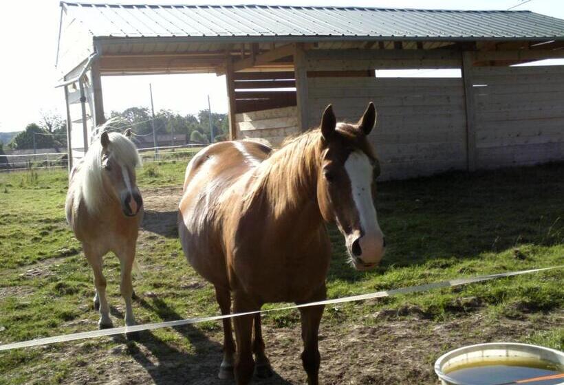 住宿加早餐  Aux Cadollines