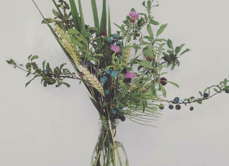 민박 Bateau Entre Lille Et Paris