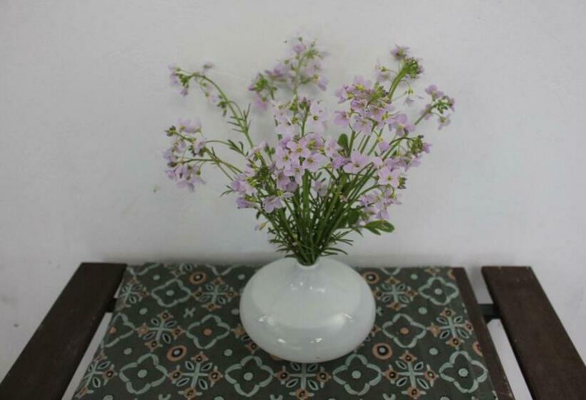 민박 Bateau Entre Lille Et Paris