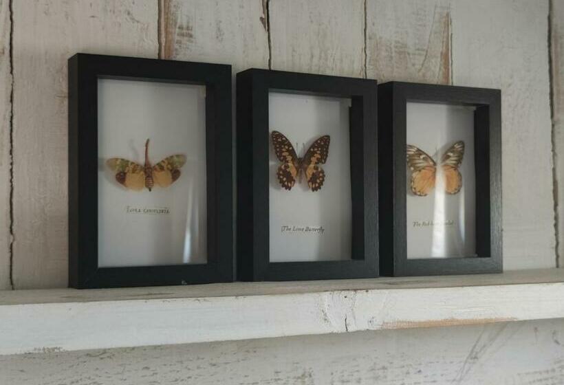 민박 Bateau Entre Lille Et Paris