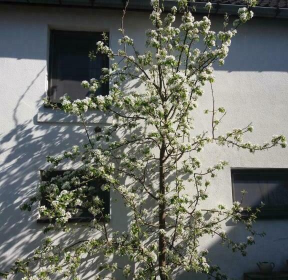 Bed and Breakfast De Aventurijn