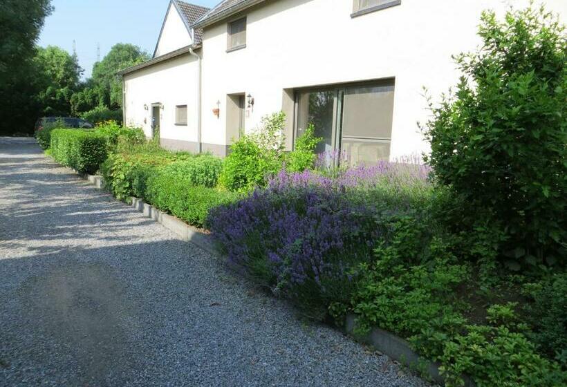 Bed and Breakfast De Aventurijn