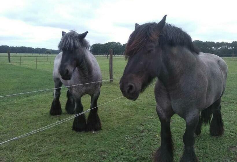 住宿加早餐  De Blauwe Maaten